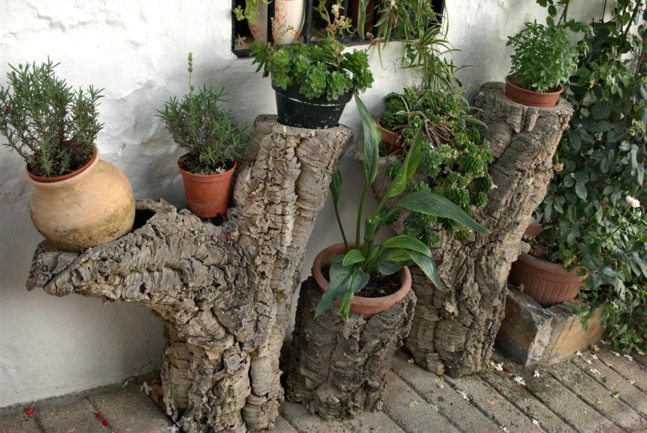 Villa Cruzchiquita Alpandeire Esterno foto